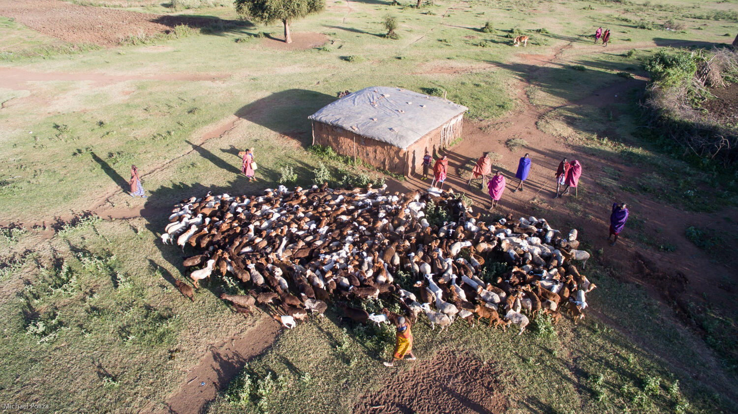 PlaceholderImage1302